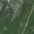 Deceased bear reported on trail near lake