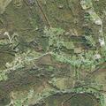 Woman ill with dry heaves near Birch Run Road