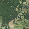 Fall victim with syncopal episode in New Columbia