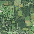 Small brush fire reported on New Castle Road