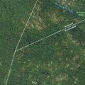 Bear reported by hikers in state forest