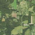 68-year-old man falls, reports back pain in Petrolia