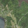 66-year-old male reported sick on Palm Lane