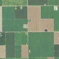 Patient suffered fall near Road 19 in Continental