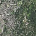 Man scratched by dog near Hamilton Place