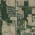 Person with head injury from fall at nursing home