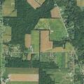 90-year-old female confused with UTI history in Spencer