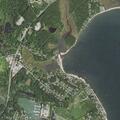 Animal incident near Bay Road town highway