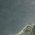 Female youth suffers allergic reaction in Southold