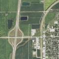 Loose dog in roadway near Route 66 restaurant