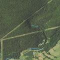 52-year-old male vomiting with hand cramps at campground