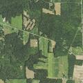 Person needing emergency aid in woods behind residence