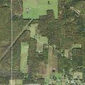 92-year-old female dizzy near Frenchville Road