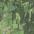 68-year-old man falls from tree stand, injured