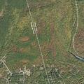 Person with respiratory difficulty near Whitetail Road