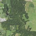 Man experiencing dizziness and congestion at Golden Pond Dr