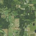 85-year-old woman possibly septic, conscious but not alert