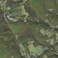 Medical alarm activation for elderly woman at home