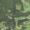 Medical alarm reported with no contact at Forest Drive