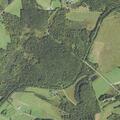 Woman falls and injures knee near Waldorf Road in Summerville