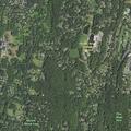 Small tree limb partially blocking roadway