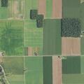 Report of woman screaming from barn in Continental