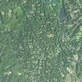 92-year-old female falls at Woods Grove Road