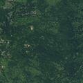 Group cutting trees while trespassing on private land