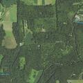 Elderly man suffers heart attack near Creek Road in Springfield