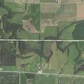 Man stepped on by calf, has breathing difficulty
