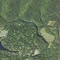Elderly man reported dizzy near Blue Spruce Circle