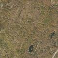 64-year-old woman seizing after chest pain in Dingmans Ferry