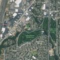 89-year-old female falls but is alert and uninjured