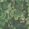 77-year-old man with testicular pain at Hollow Road