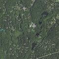 81-year-old woman with head injury from fall