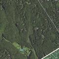 84-year-old man near fainting at Eastwoods Road