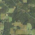 83-year-old woman sick near Summerville Road
