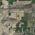 Person with swollen feet reported near Watts Drive