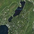 Bear caught in backyard fence at Tuxedo Park home