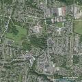 Dog taken in backyard robbery at Chapel Street home