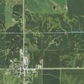 Tree knocks down utility line in Macksburg