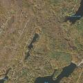 Female vomiting nonstop at Wild Acres Drive