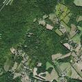 Man with severe shoulder pain in Wantage