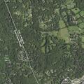 Person awake and breathing near Pines Bridge Road