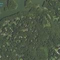 74-year-old male unable to walk in Bedford Hills