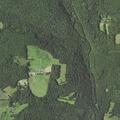 90-year-old female with altered mental status at Ridge Rd