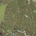 Elderly woman falls with altered mental status near goldsboro