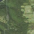 Allergic reaction reported near Hiner Lane and Sandworks Road