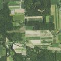 Woman falls from bed with shoulder injury in Sharpsville
