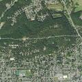 Elderly man with weakness and leg pain in Williamsport
